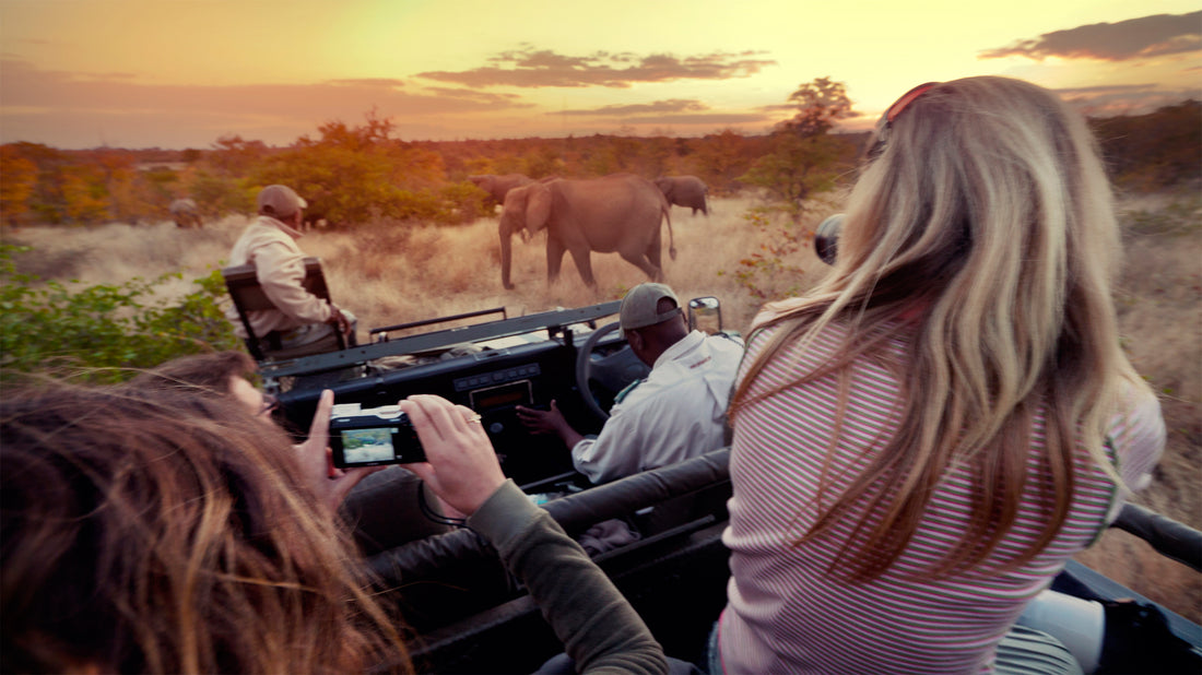 Charging Camera Batteries During Safari